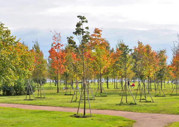 Ранняя осень
.