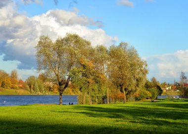 Park ve akşam Neva Nehri.