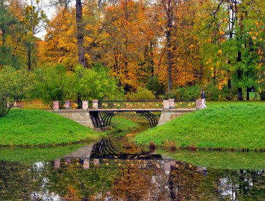 Park ve su birikintisi sonbahar.