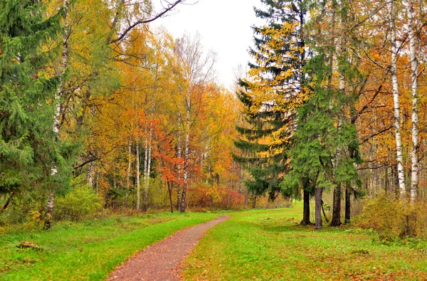 Parc et passerelle à l'automne . — Photo