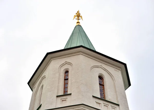 Torre di Ratna Casa Sovrana . — Foto Stock