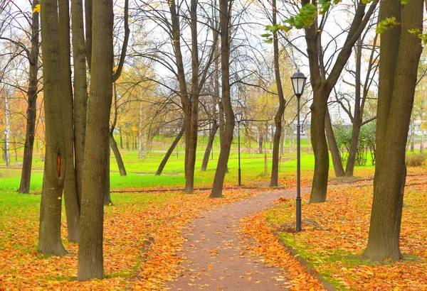 Парк на осінь . — стокове фото