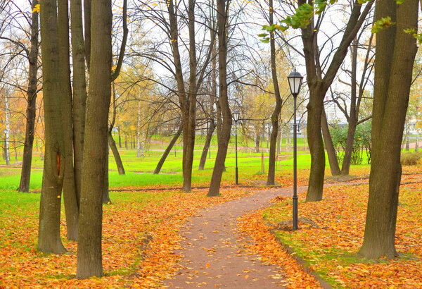 Park at golden autumn in Saint Petersburg, Russia.
