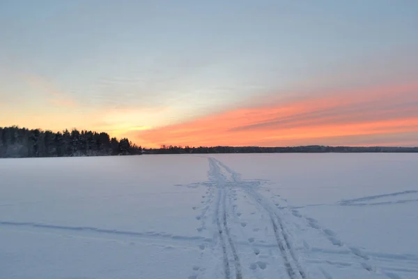 Vinterlandskap vid solnedgången. — Stockfoto