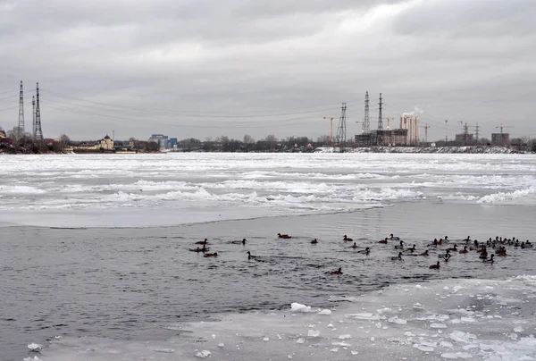 Перегляд річки Нева взимку. — стокове фото
