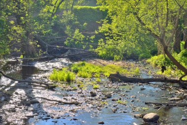 Nehrin Sablinka görünümünü.
