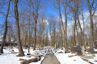 Novodevichye Mezarlığı'nda St.Petersburg.