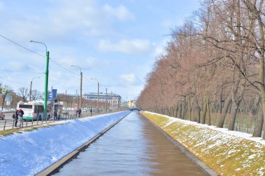 st.petersburg kanal ve yaz bahçelerde Kuğu.