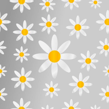 Chamomiles Dikişsiz desen arka plan.
