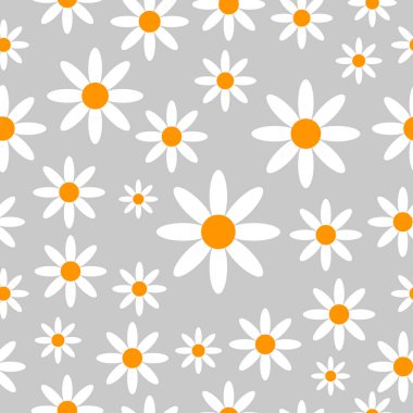 Chamomiles Dikişsiz desen arka plan.