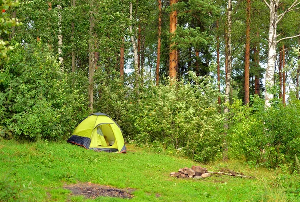 Tente de camping en forêt d'été . — Photo