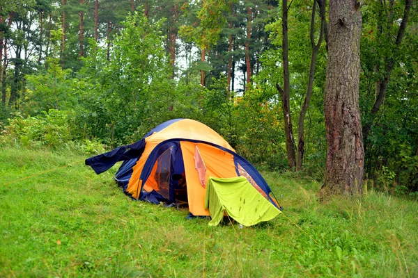Tente de camping en forêt d'été . — Photo