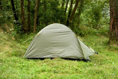 Yaz ormanda kamp çadırı.