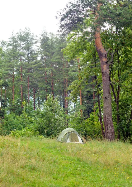 Nyári erdőben kemping sátor. — Stockfoto