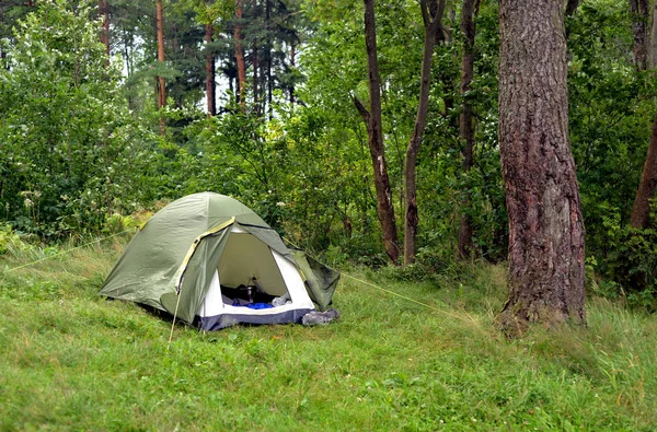 Tente de camping en forêt d'été . — Photo