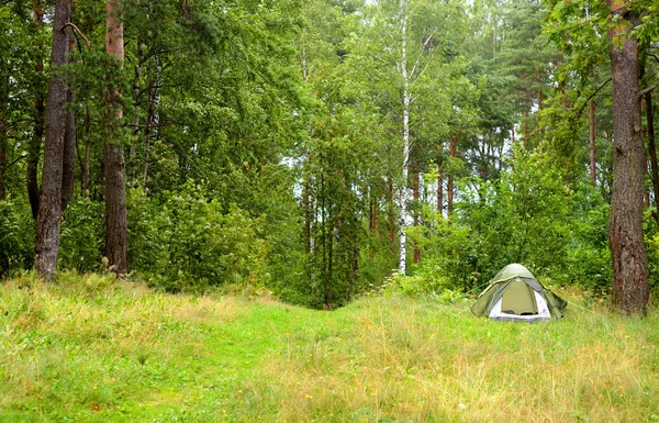 Namiot kempingowy w las lato. — Zdjęcie stockowe