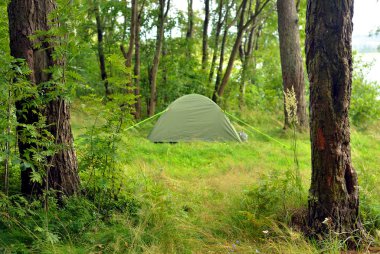 Yaz ormanda kamp çadırı.