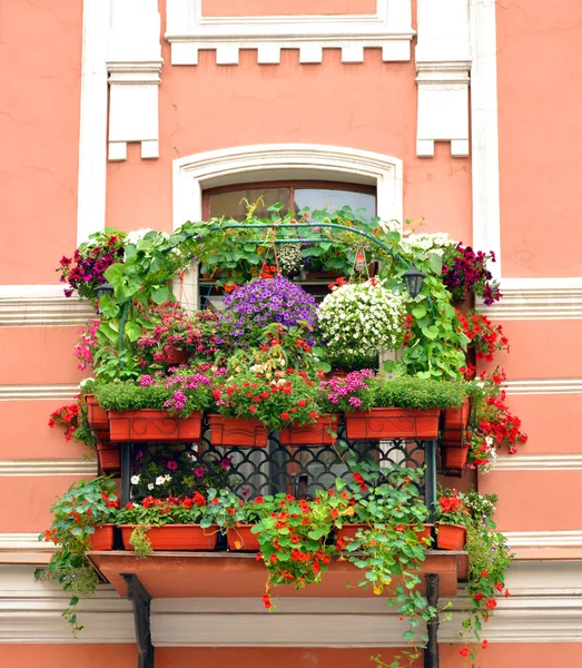 Alter Balkon mit Blumen bewachsen. — Stockfoto