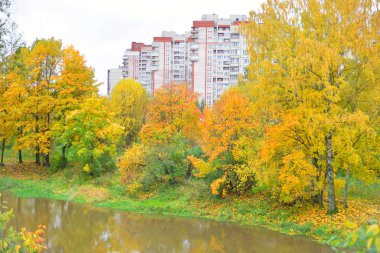 Görünüm Slavyanka Nehri'nin sonbahar.