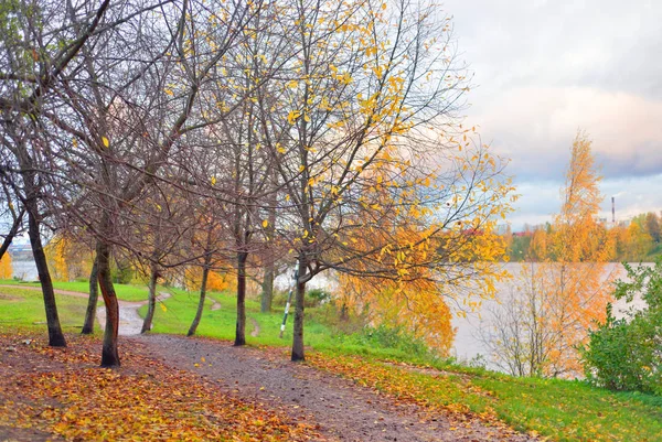 Parc à l'automne . — Photo