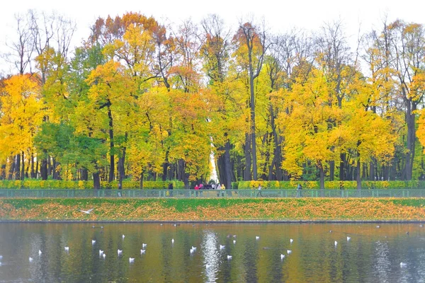 Jardin d'été à Saint-Pétersbourg à l'automne . — Photo