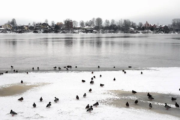 Utsikt över floden Neva på molnet vinterdag. — Stockfoto