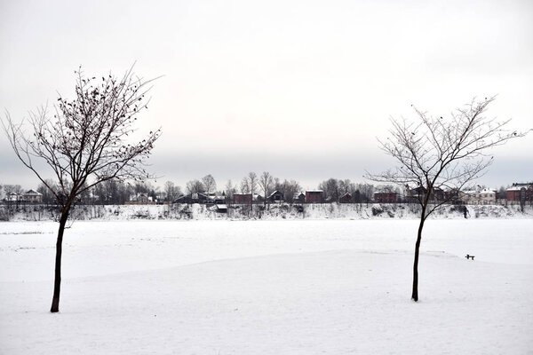 Winter landscape with tree in park, Russia.
