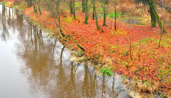 Görünüm Slavyanka Nehri'nin sonbahar. — Stok fotoğraf