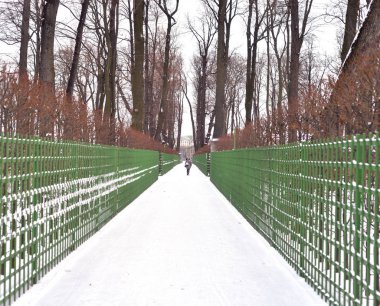 st.petersburg yaz bahçede.