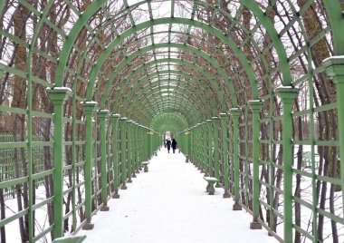 st.petersburg yaz bahçede.