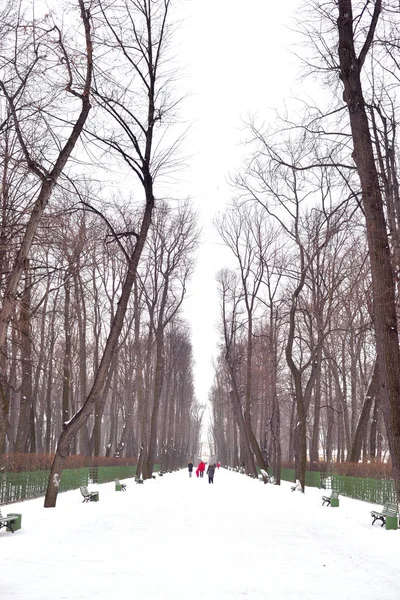 Letní zahrada v st.petersburg. — Stock fotografie