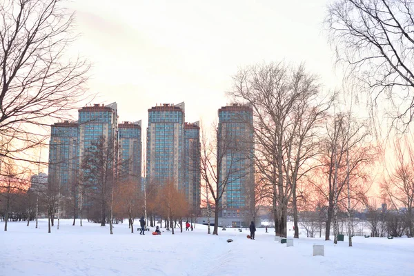 Şehir Parkı, kış. — Stok fotoğraf