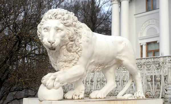 Scultura del leone . — Foto Stock