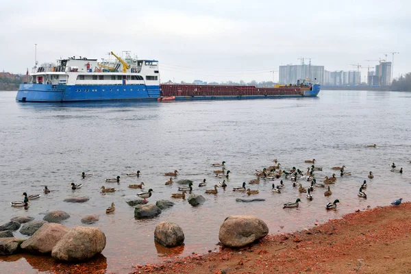 Vrachtschip op de rivier de Neva. — Stockfoto