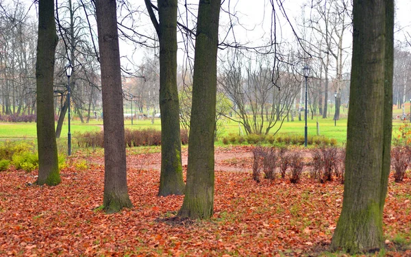 Park w jesieni. — Zdjęcie stockowe