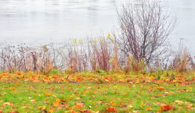 Sonbahar Nehri kıyısında.