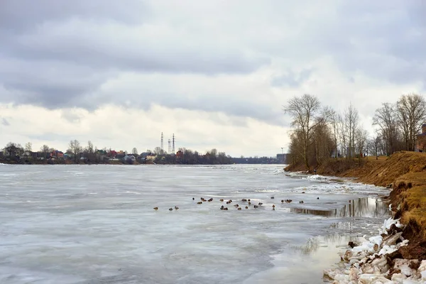 Widok z rzeki Newy w zimowy dzień. — Zdjęcie stockowe