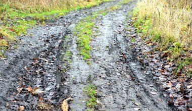 Sonbahar kirli kırsal yol.