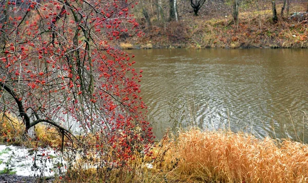 Blick auf die Küste des Flusses im Herbst. — Stockfoto