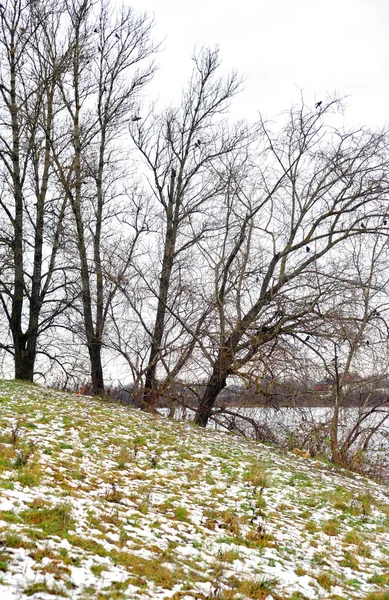 Park v zimě. — Stock fotografie