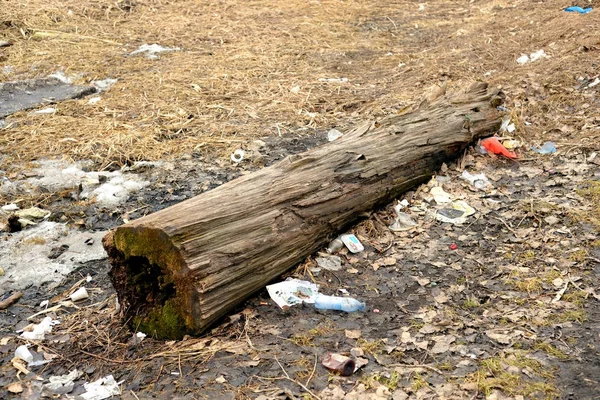 Odpadky na zem na jaře. — Stock fotografie