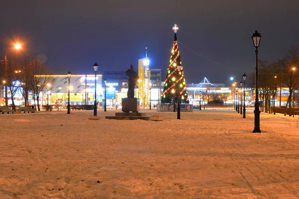 Petersburg Russia December 2017 City Park Winter Night Microdistrict Rybatskoe — Stock Photo, Image