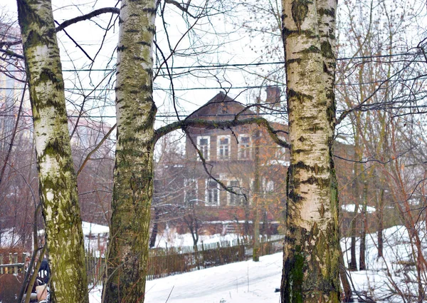 木の幹や村の家. — ストック写真