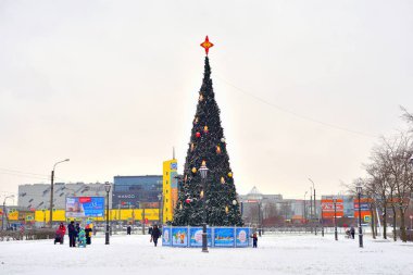 Şehir parkında noel ağacı.