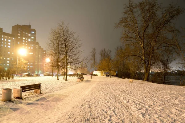 Парк в зимову ніч . — стокове фото