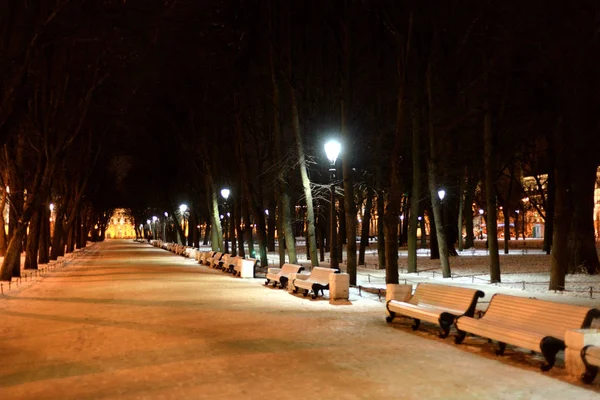 Callejón en Alexander Garden por la noche . —  Fotos de Stock