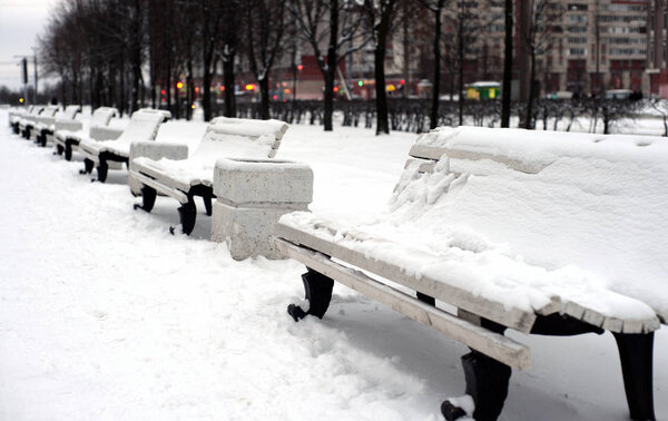 Benches covered with snow in winter park.
