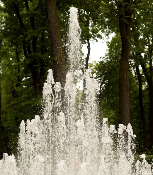 泉の水. — ストック写真