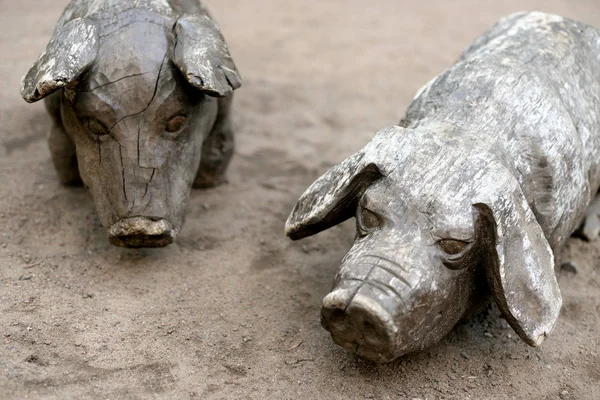 Houten standbeeld van varken. — Stockfoto