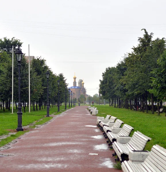 Parc à l'été . — Photo